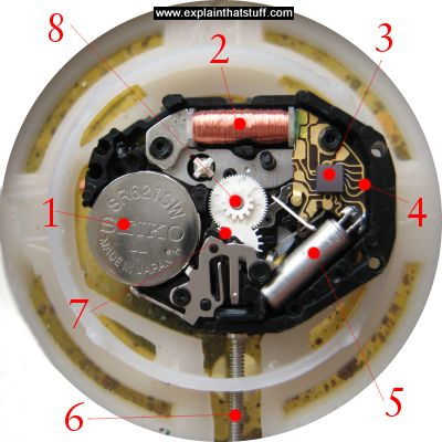 Component parts of a quartz watch