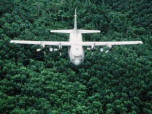 Hercules airplane flying low over forest.
