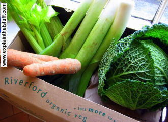 Organic vegetable box