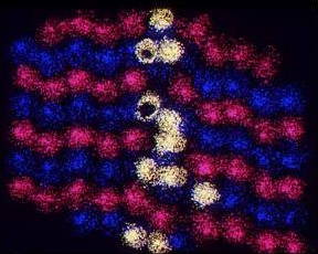 Scanning tunneling electron microscope (STM or STEM)