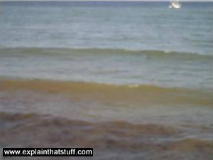 Small groundswell